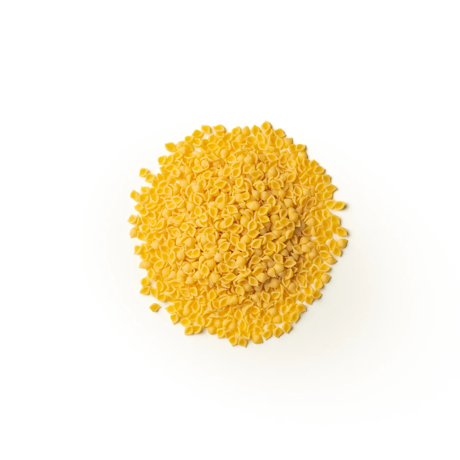 16 pastine conchiglie